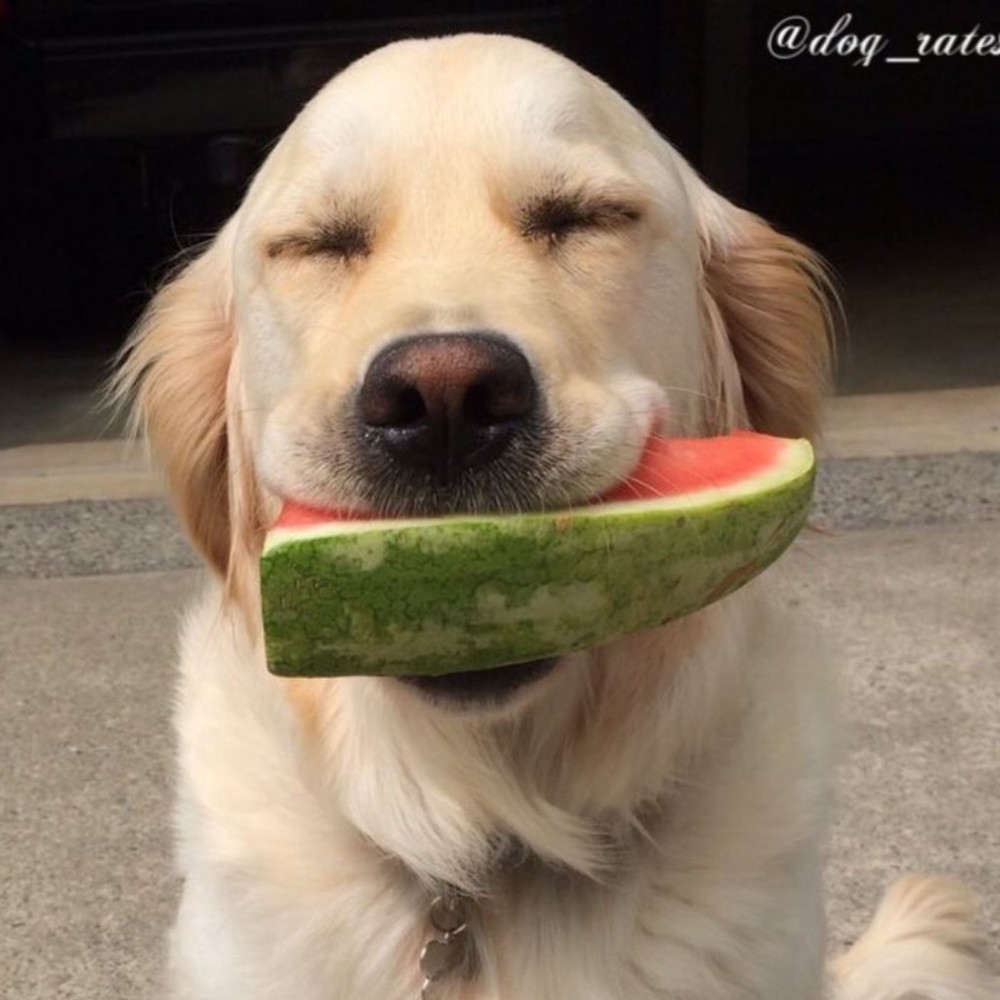 Meet your Posher, Tw